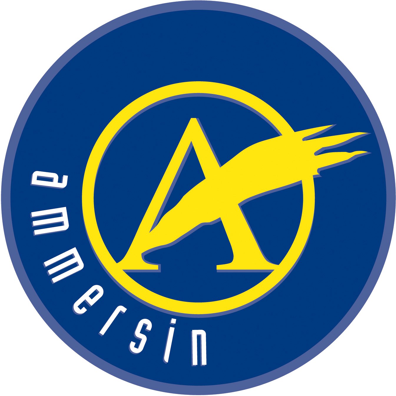 Ammersin Logo
